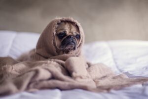 Photo Ghidul complet pentru a-ți îmbunătăți somnul și a avea odihnă de calitate