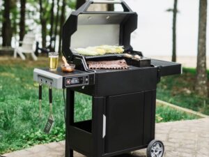 4-CG - afumatoare profesionala