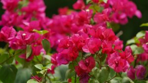 Photo clarify thoughts