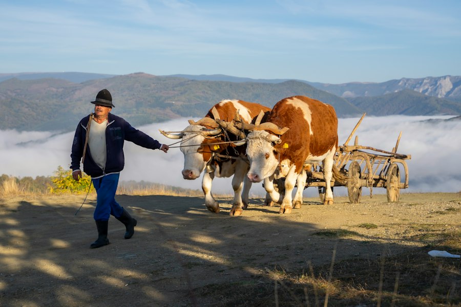 Photo Life in Craiova Romania
